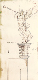 CaesarsBlvd_AngelDrawing-Merged-Small-Sharp