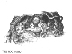 TreeRootPatio_ConceptSketch_Hod1_edited-1